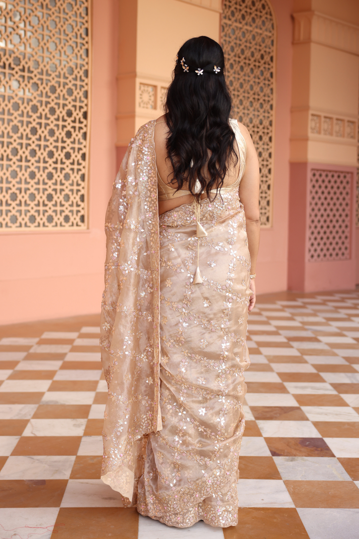 Tissue Saree  with Gota Patti, Thread, Zardozi work.