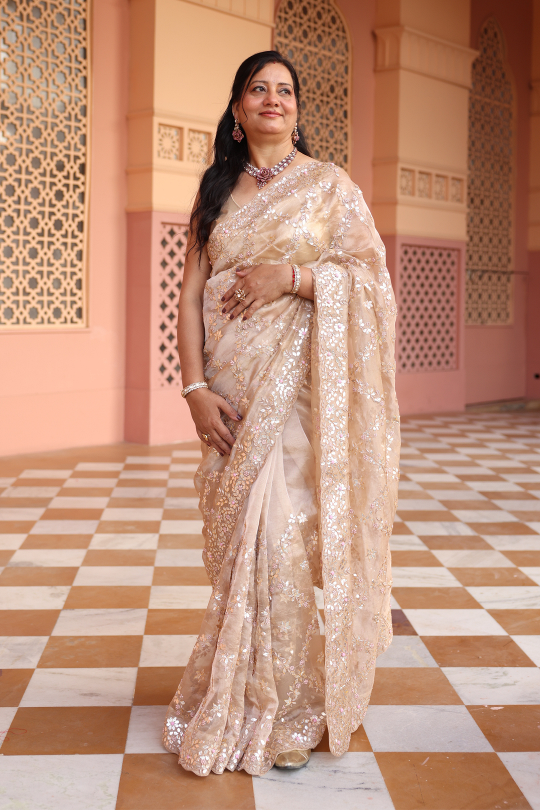 Tissue Saree  with Gota Patti, Thread, Zardozi work.