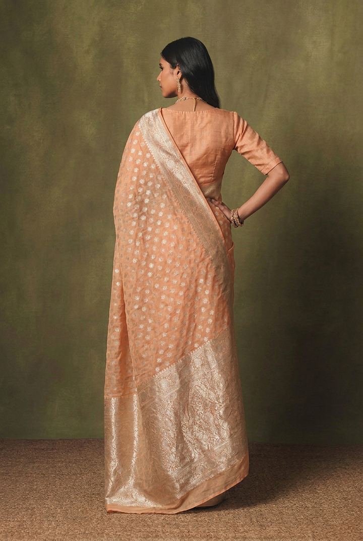 Banarasi Georgette Saree