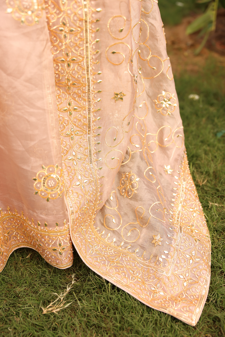 Tissue Saree with Gota, Gota Patti, Sequins work.