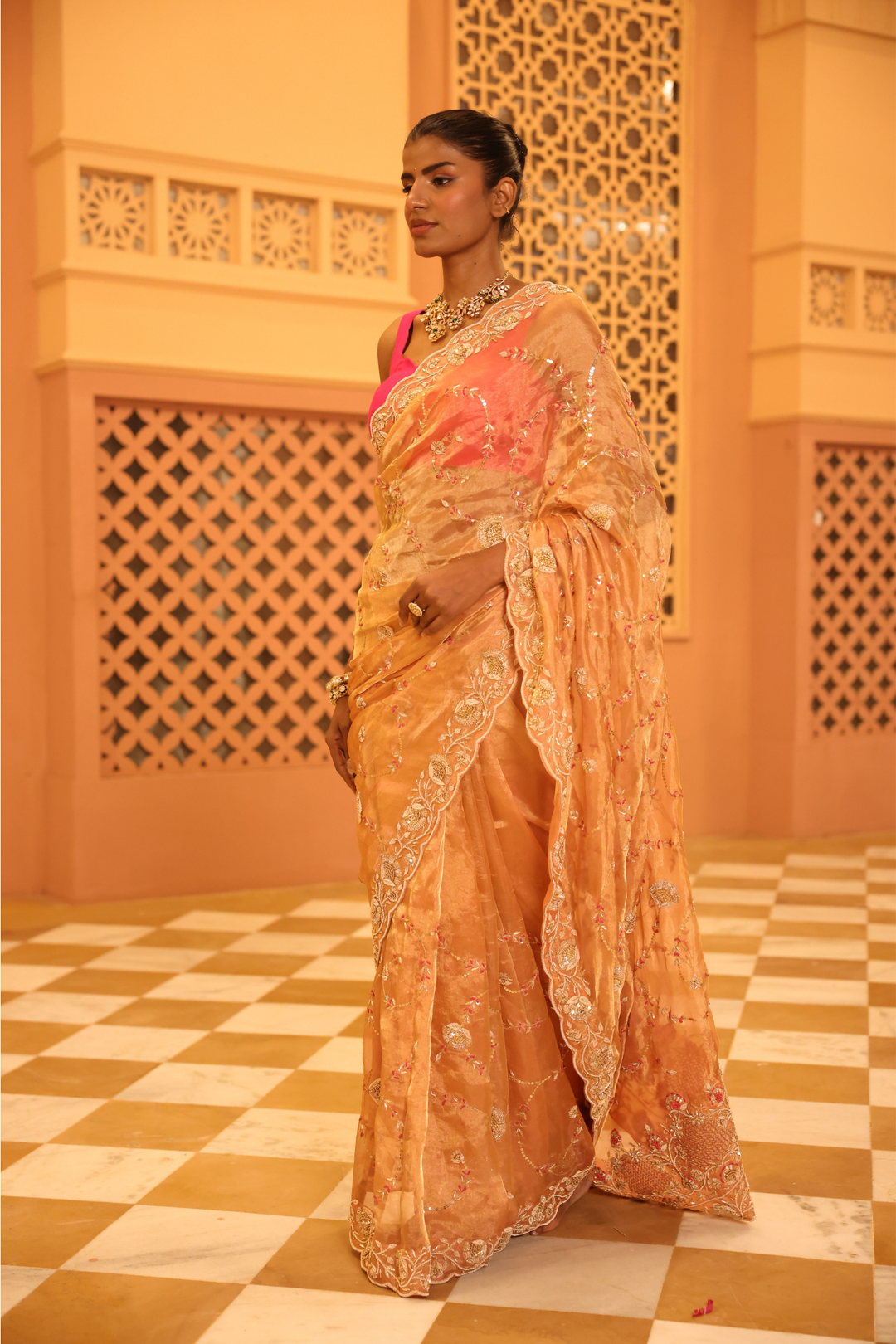 Tissue Saree with Sequins, Thread, Zardozi work.