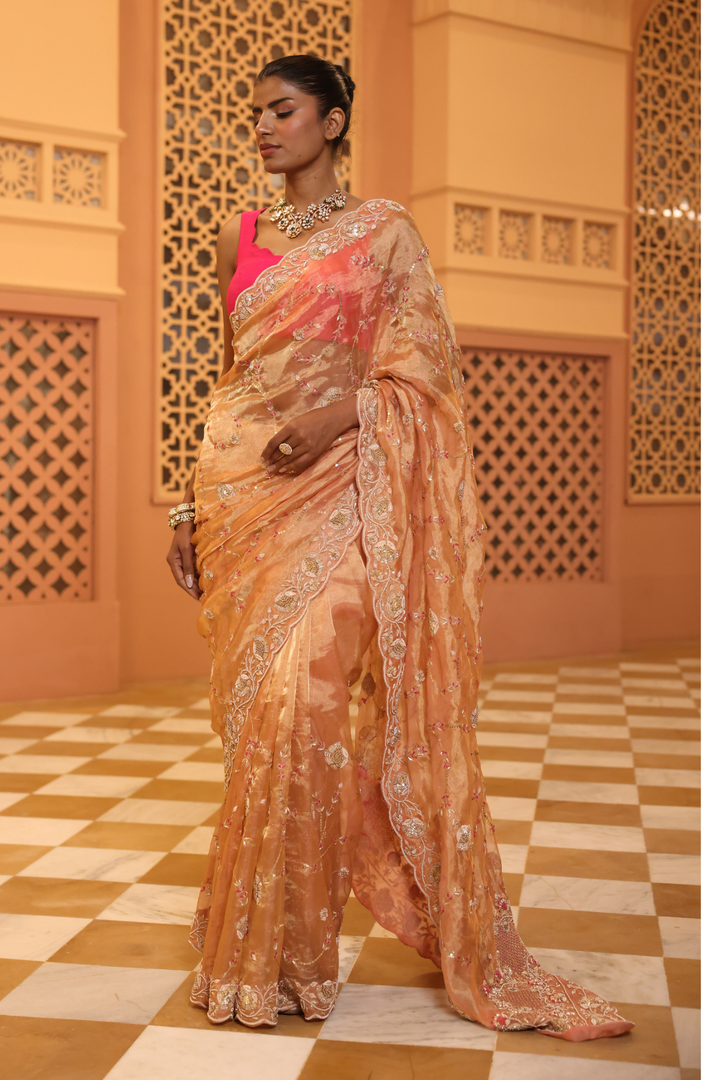 Tissue Saree with Sequins, Thread, Zardozi work.