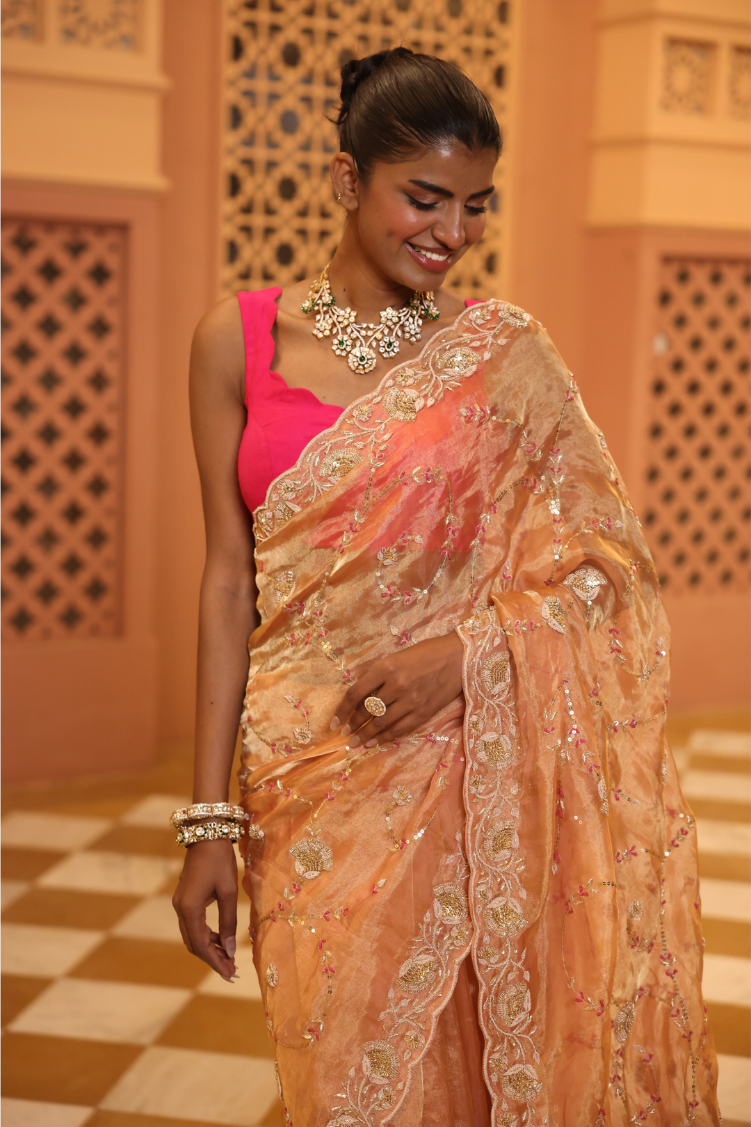 Tissue Saree with Sequins, Thread, Zardozi work.