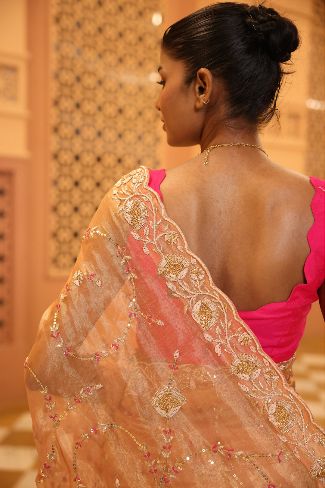 Tissue Saree with Sequins, Thread, Zardozi work.