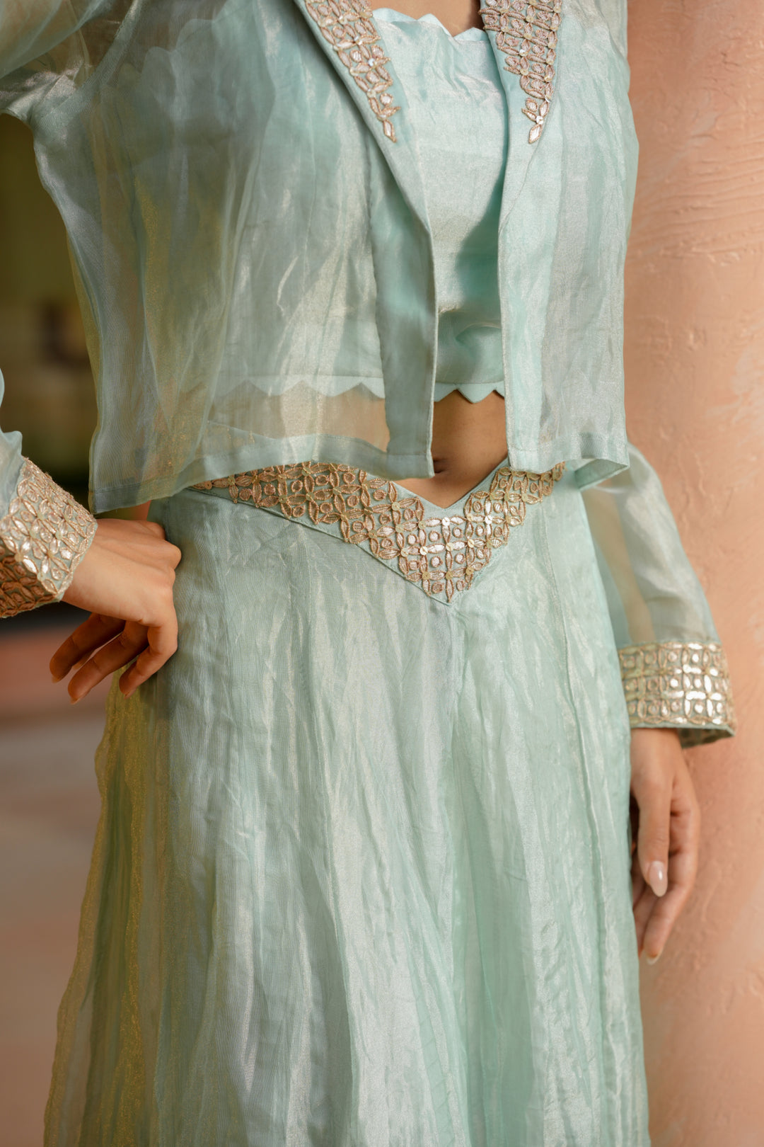 Tissue Indowestern with Dori, Gota Patti work.