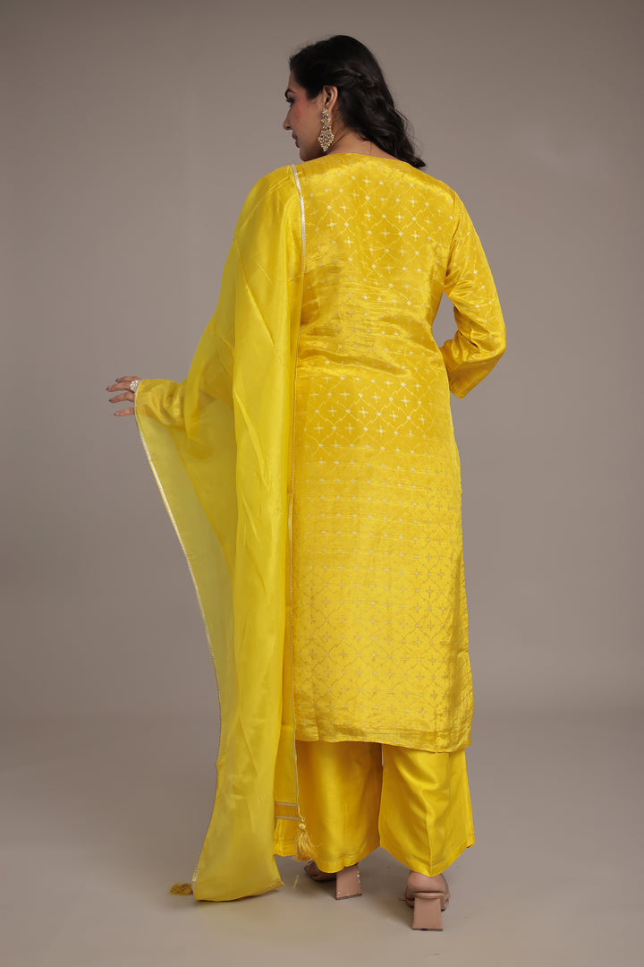 Embroidered Silk Suit with Aari and Sequins work